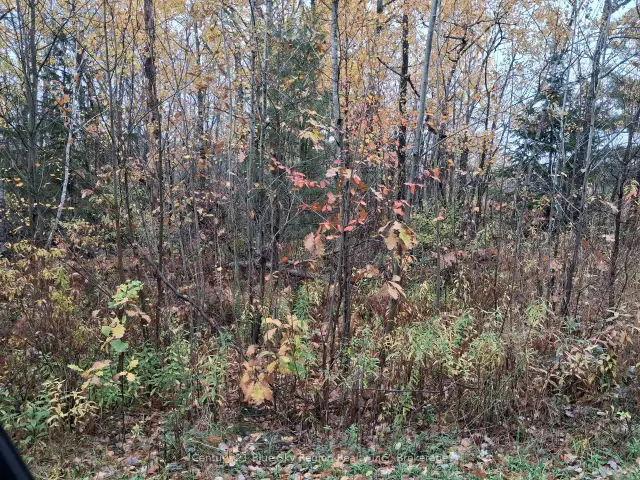 0 Bear Creek Road, Callander, ON P0H 1H0 photo 1