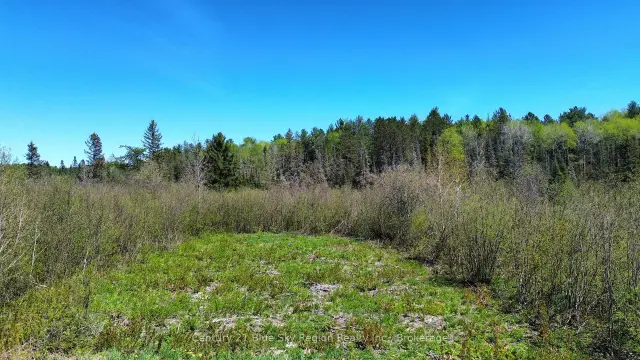 114 De La Montee Road, West Nipissing, ON P0H 1M0 photo 12